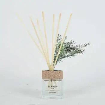 Perfume Diffuser