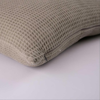 Alaska Cushion Sage
