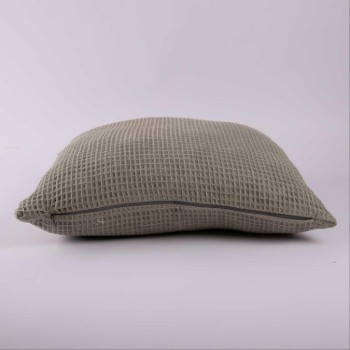 Alaska Cushion Sage