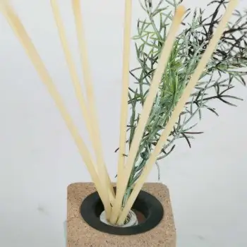 Perfume Diffuser