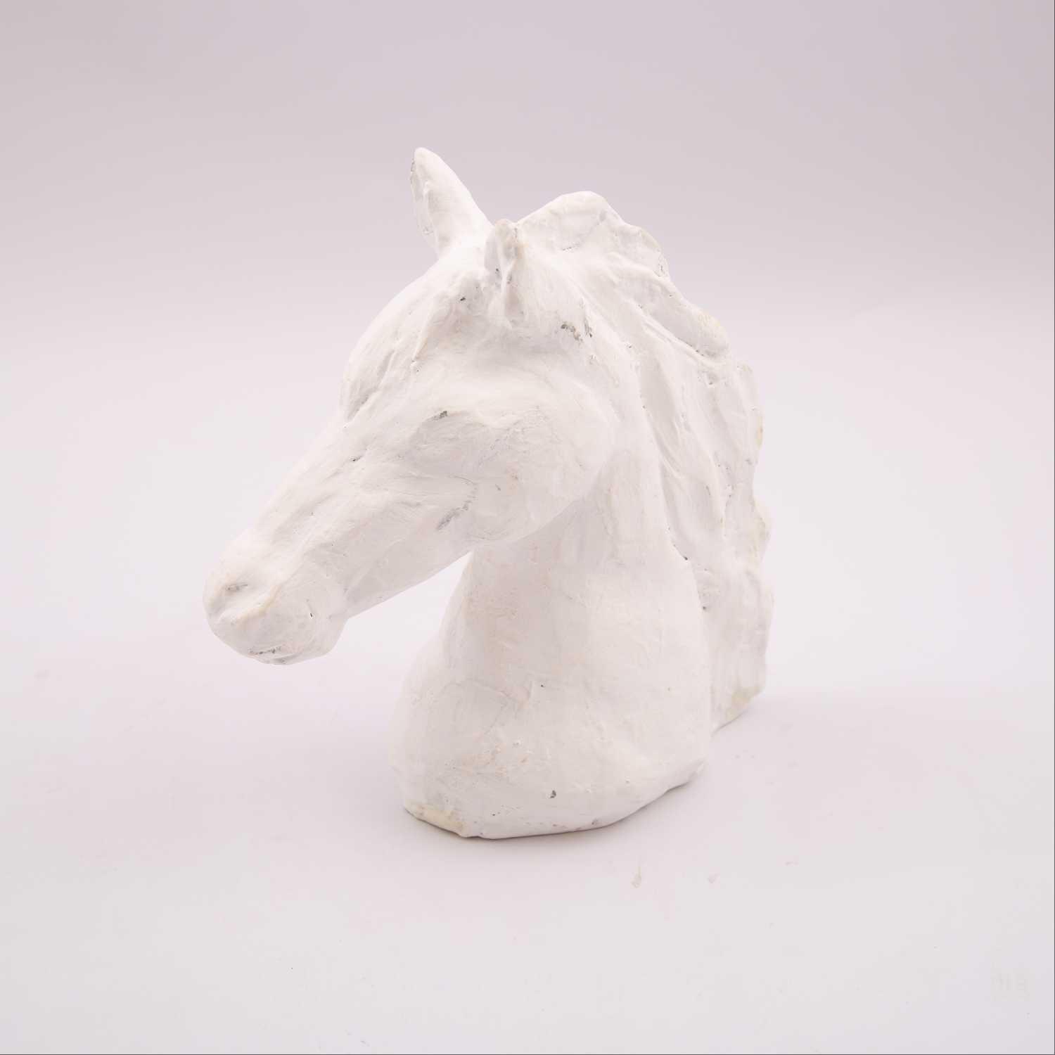 

horse head white from viola