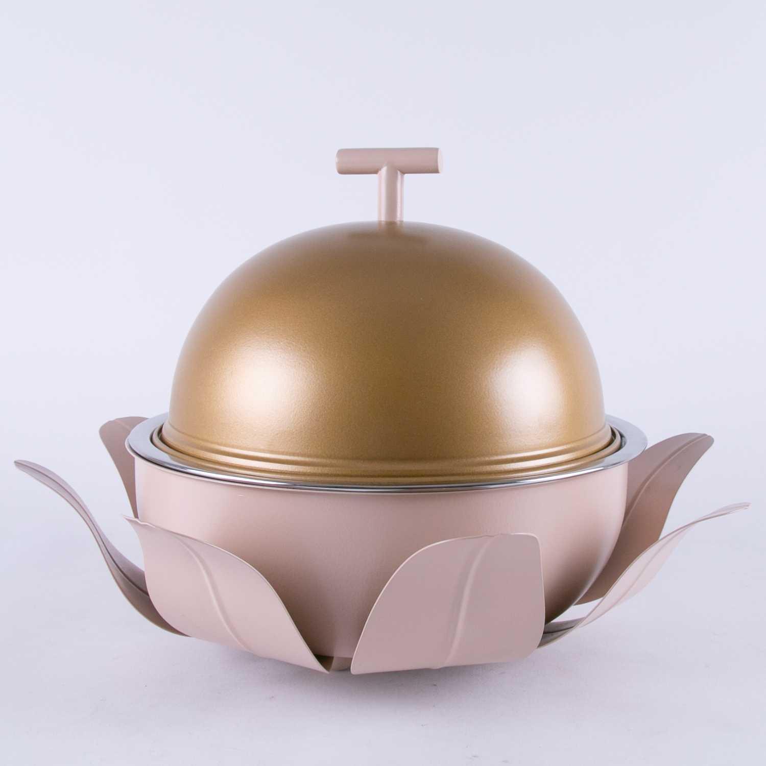 Food Warmer