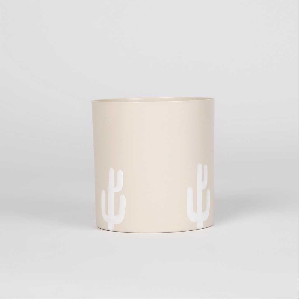 Cactus Storage From Dune