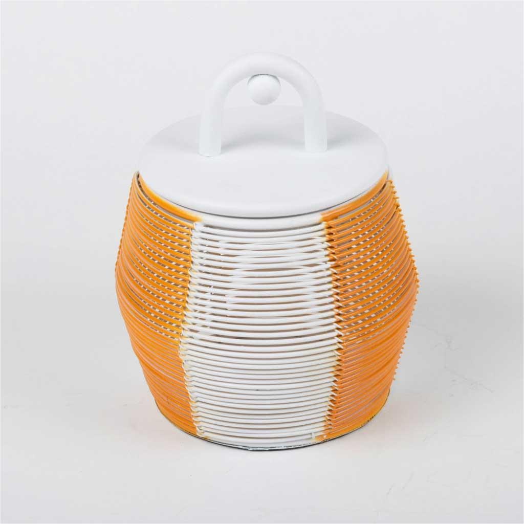 Box with Lid From Mimosa