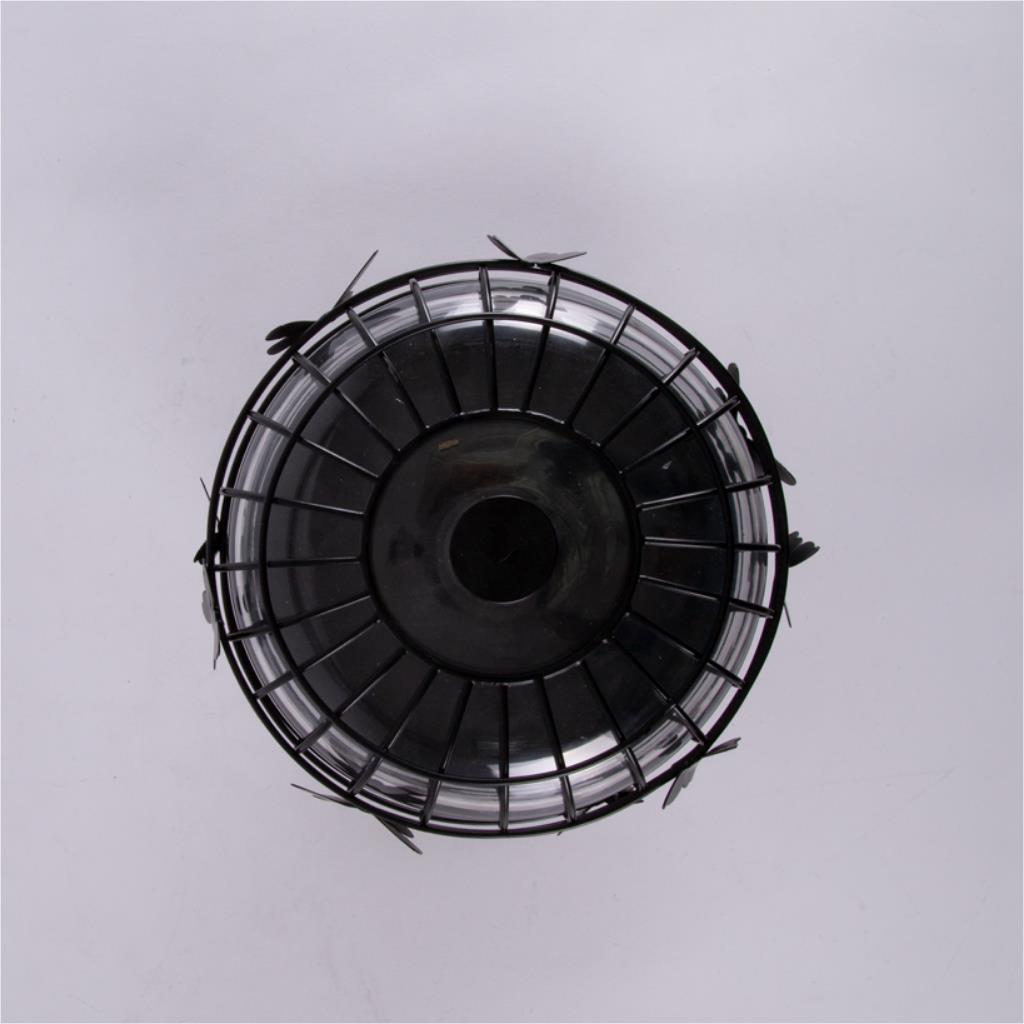 Cake stand with glass lid butterfly