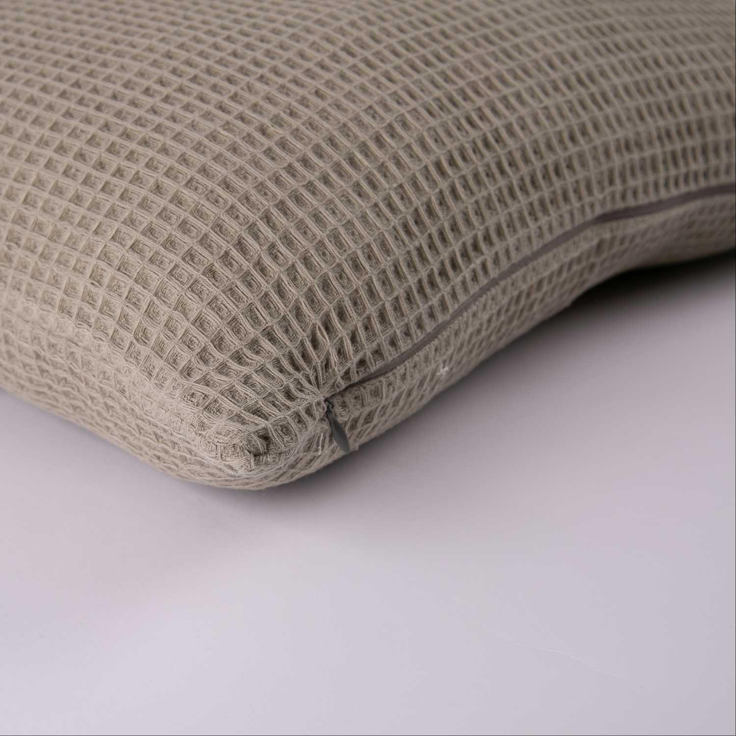 Alaska Cushion Sage