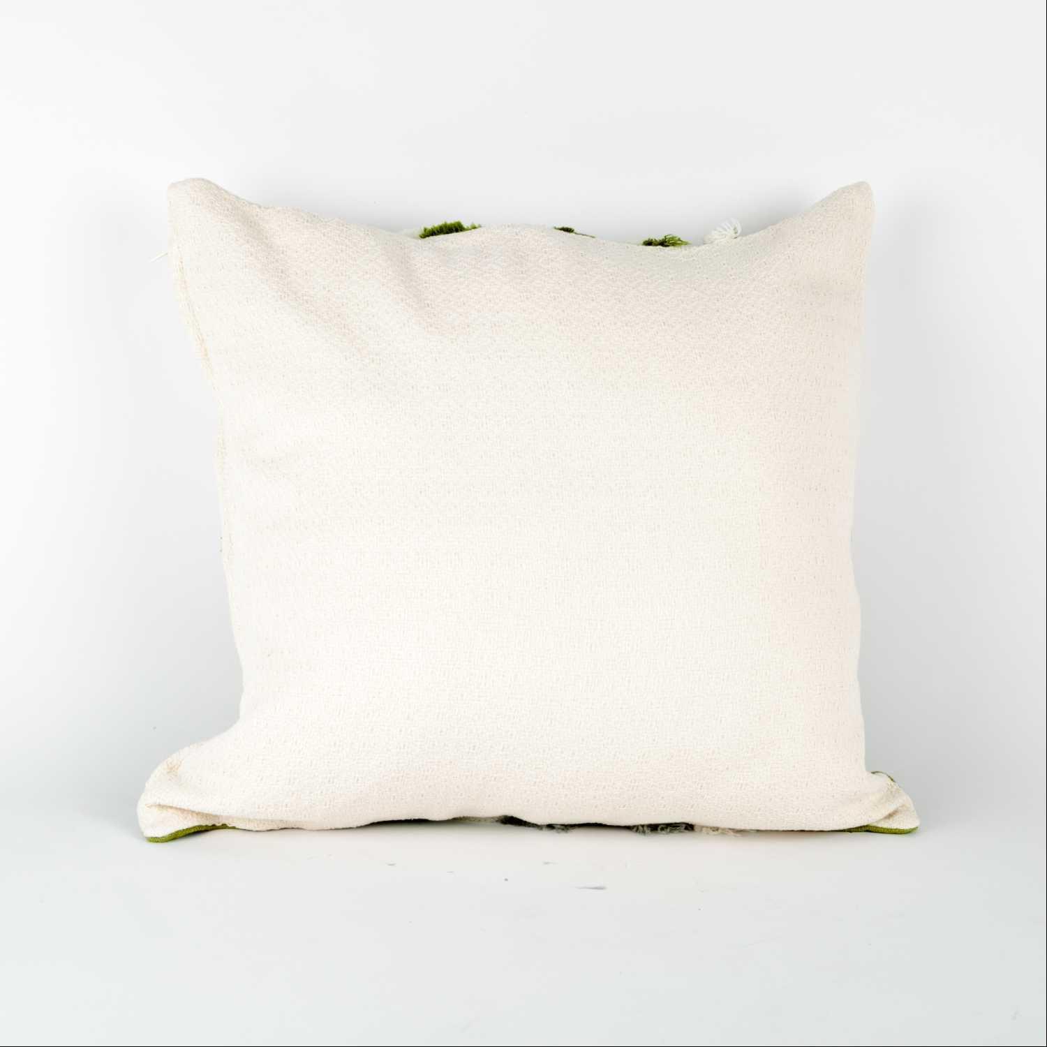 Cushion Multicolor