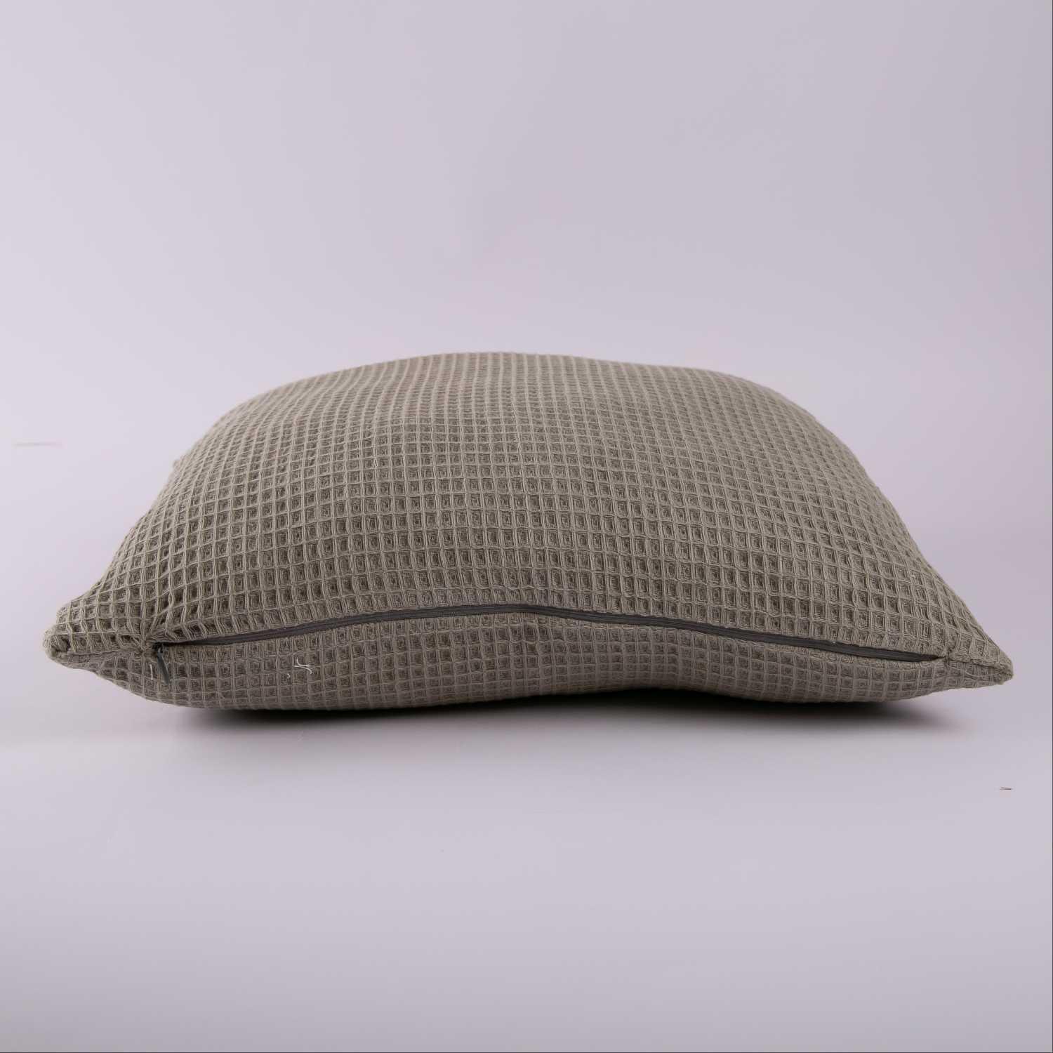 Alaska Cushion Sage