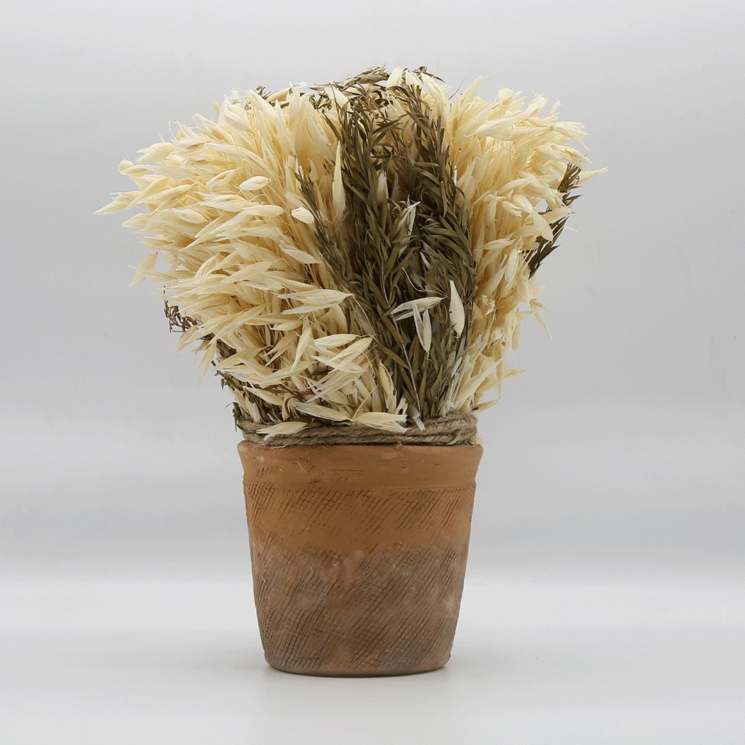 Pot - Eucalyptus Leaf & Avana Grass
