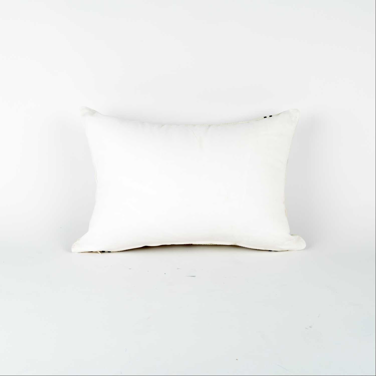 Cushion Multicolor
