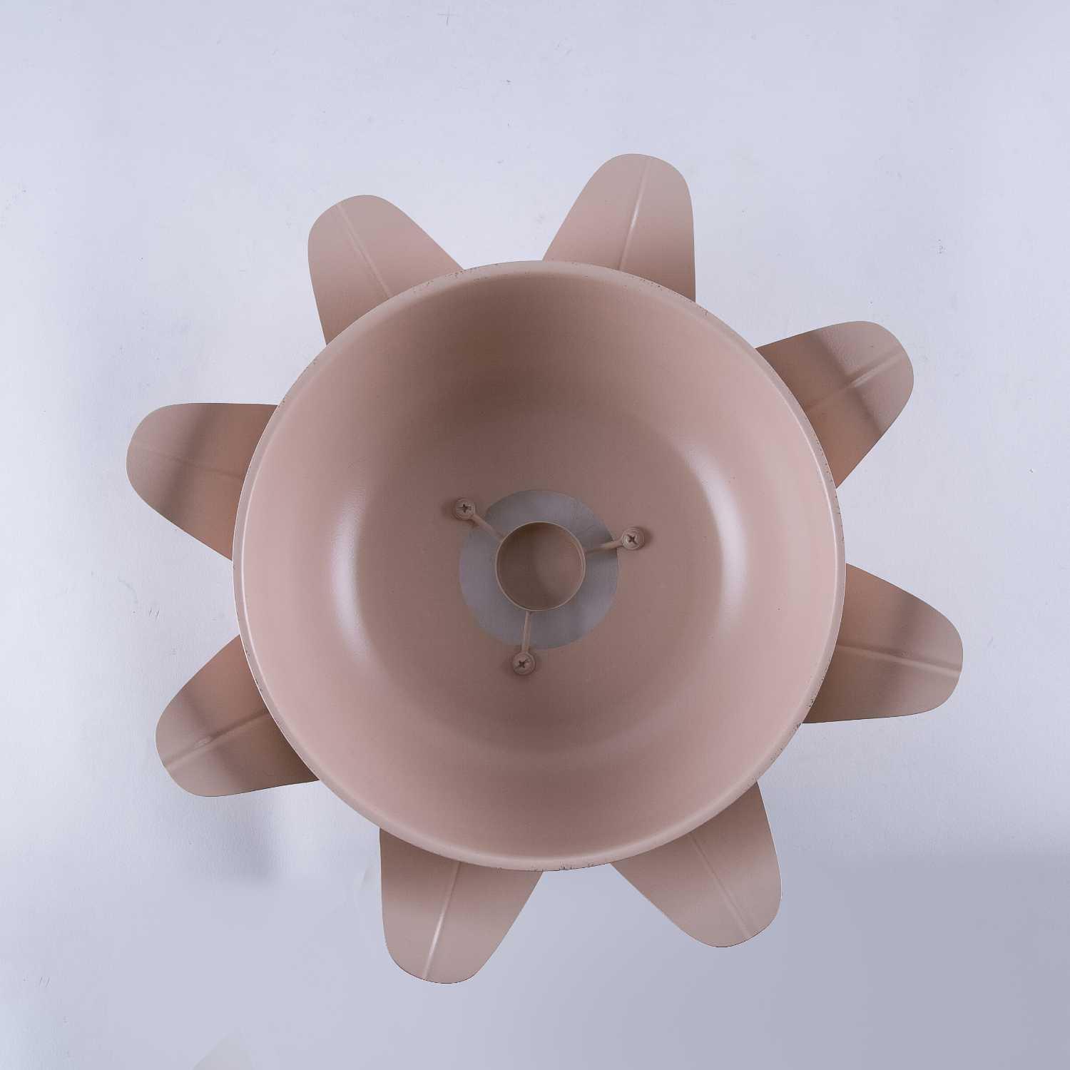 Food Warmer
