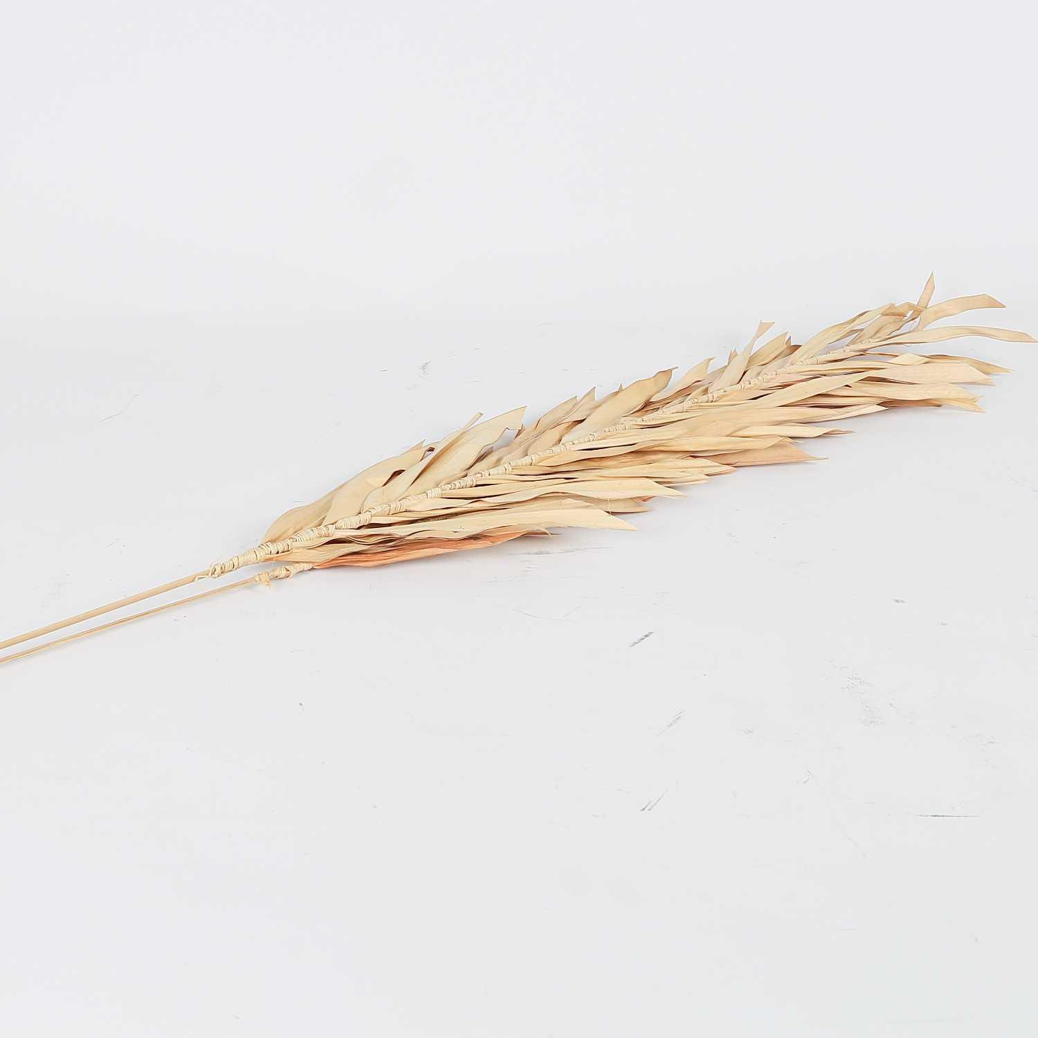 غصن شجره