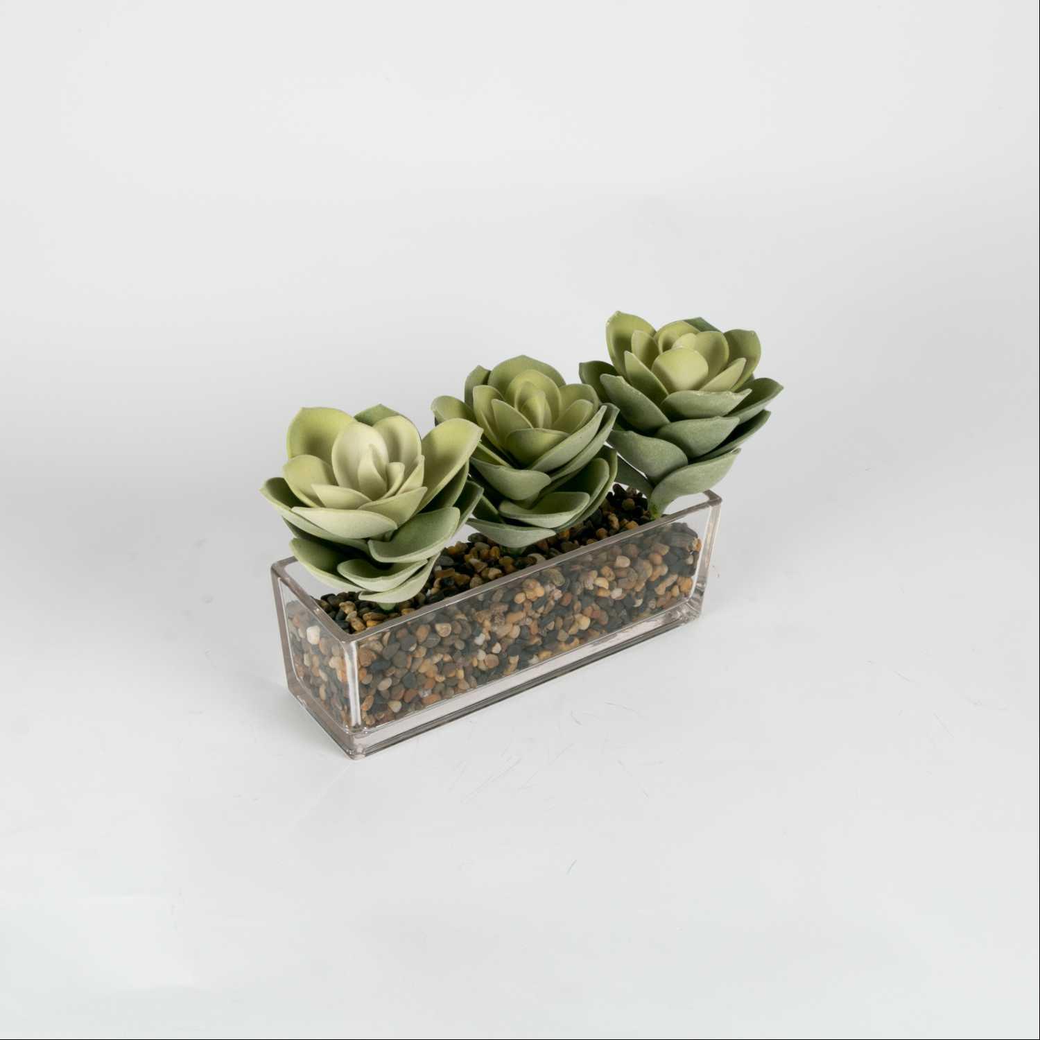 Vase with Cactus Plant