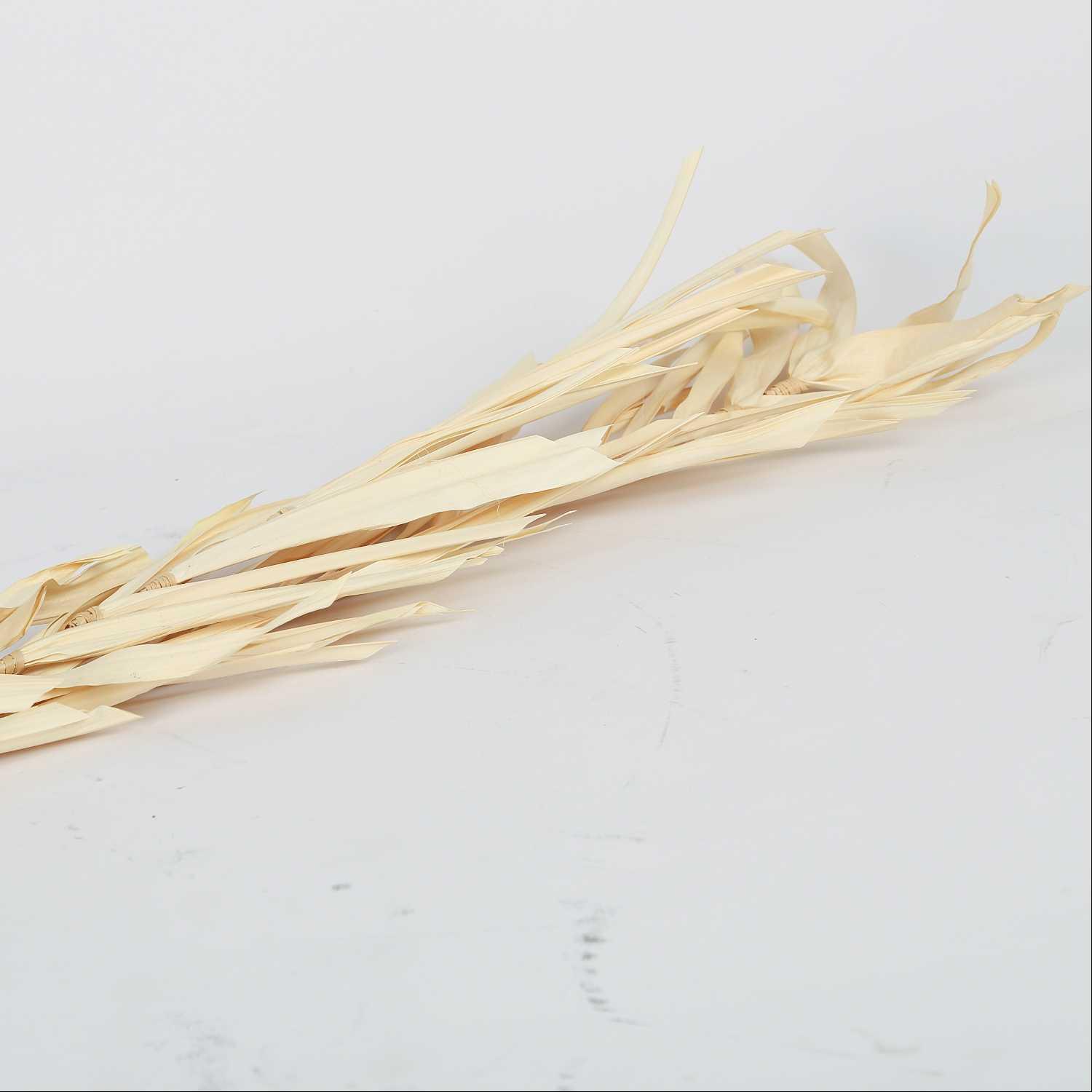 غصن شجره
