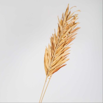 غصن شجره