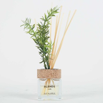 Perfume Diffuser