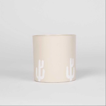 Cactus Storage From Dune