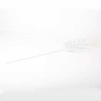 palm leaf decoration  form Azha