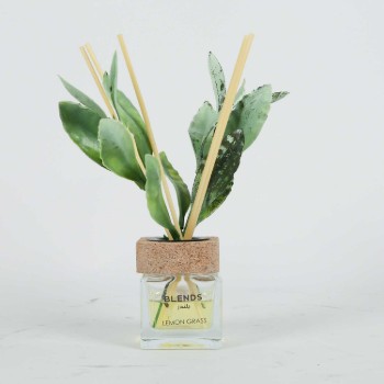 Perfume Diffuser