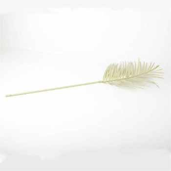 palm leaf decoration  form Azha