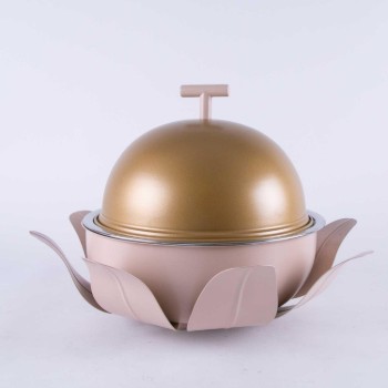 Food Warmer