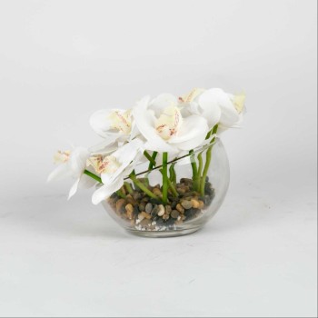 Vase with Orchid Flowers