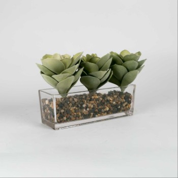 Vase with Cactus Plant