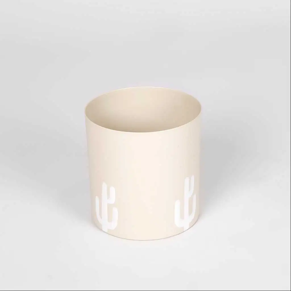 Cactus Storage From Dune