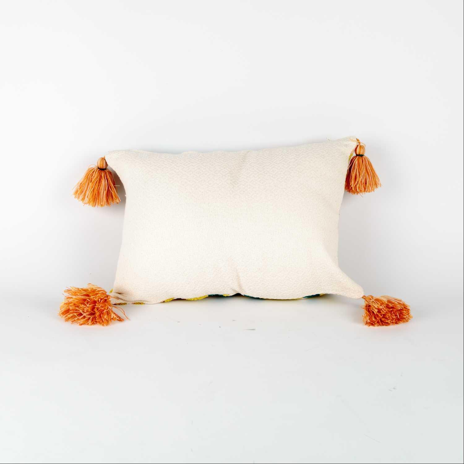 Cushion Multicolor