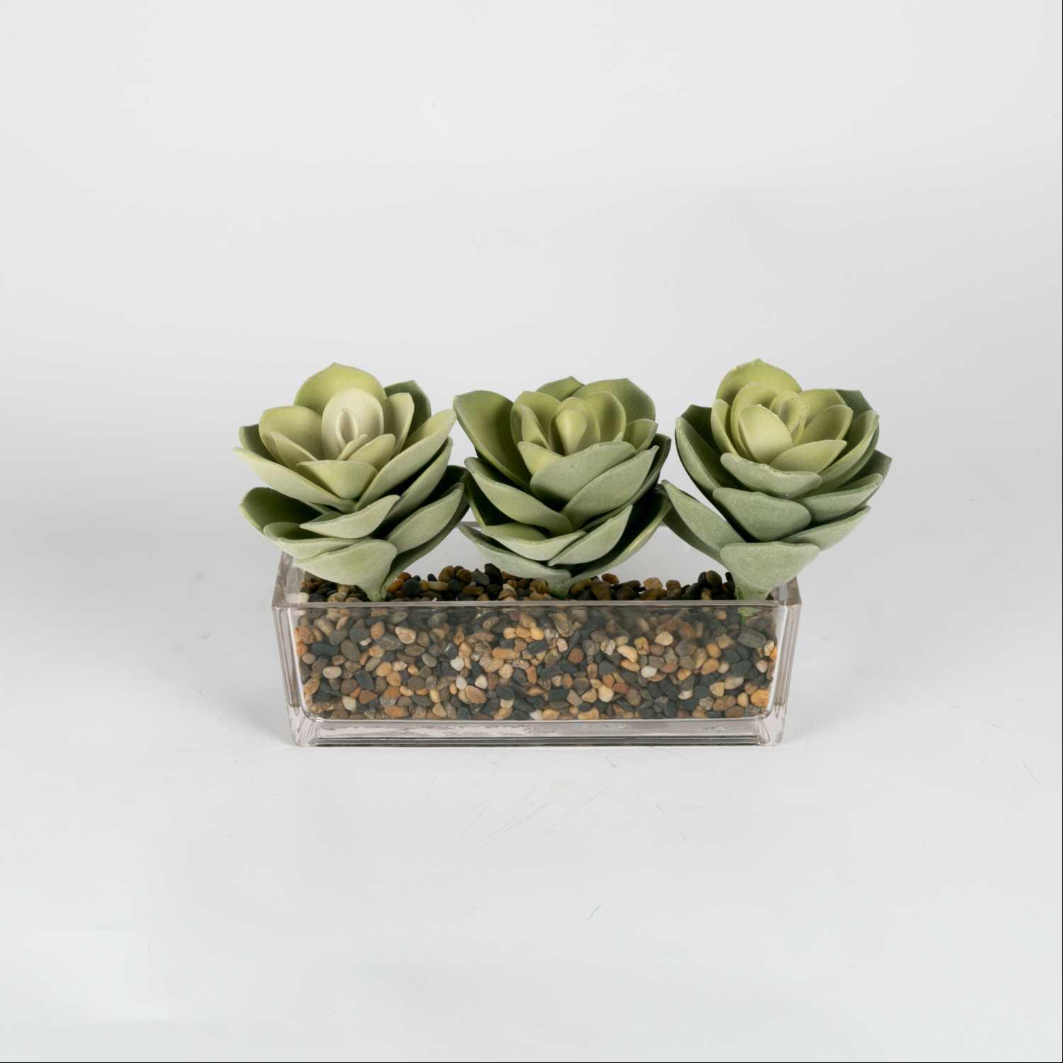Vase with Cactus Plant