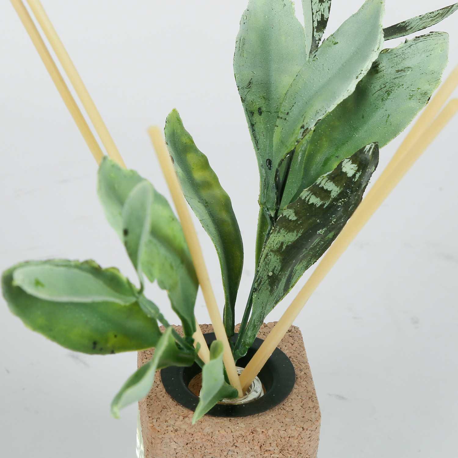 Perfume Diffuser