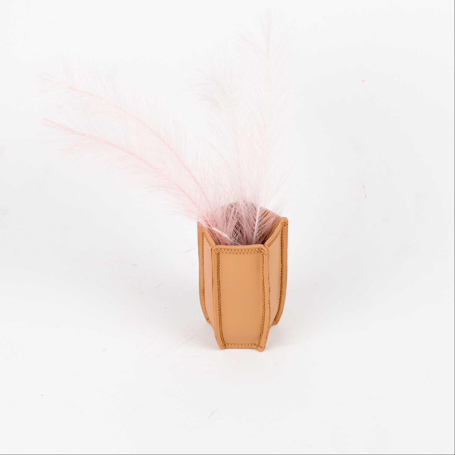 حامل فرشاة اسنان اركاديا