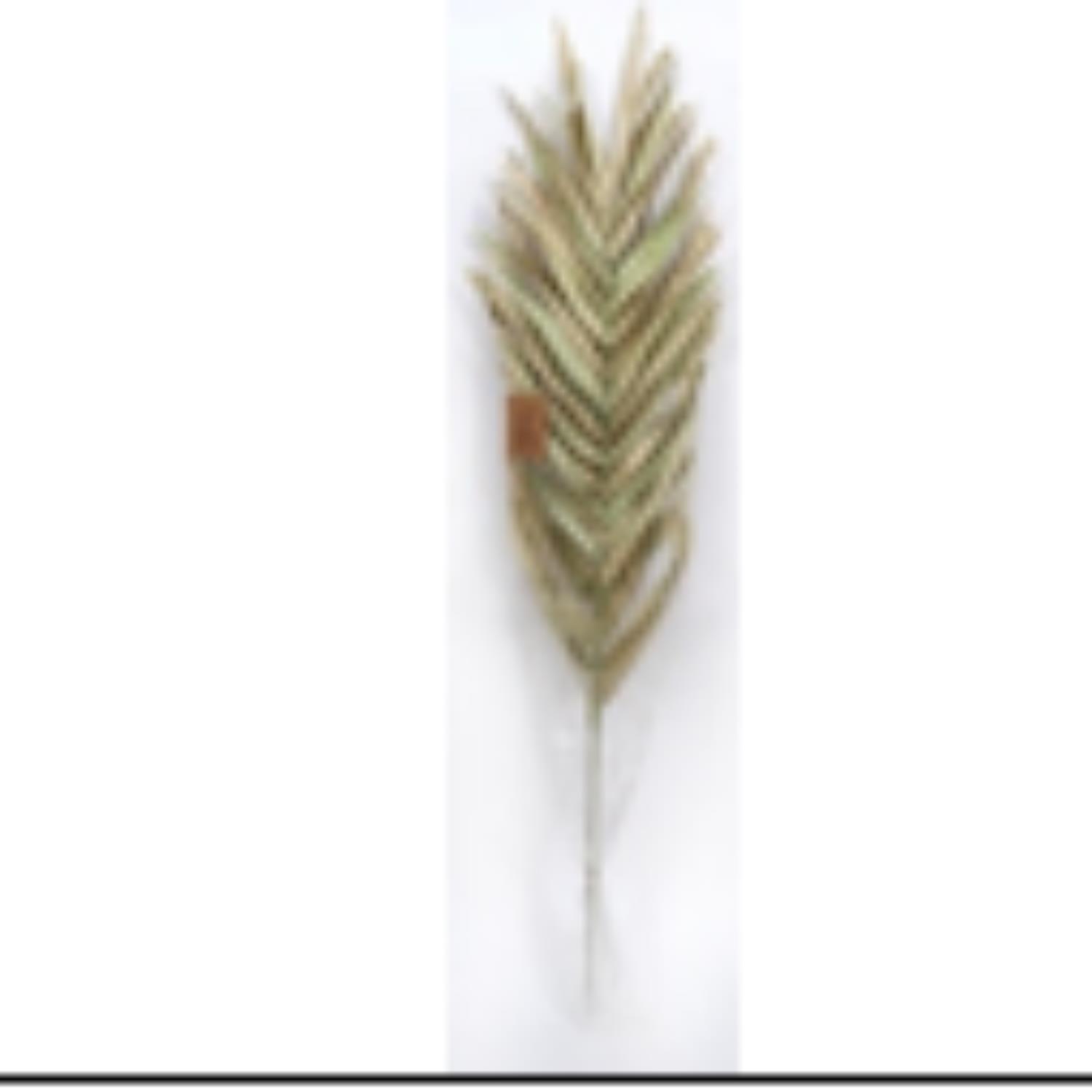 A tree branch