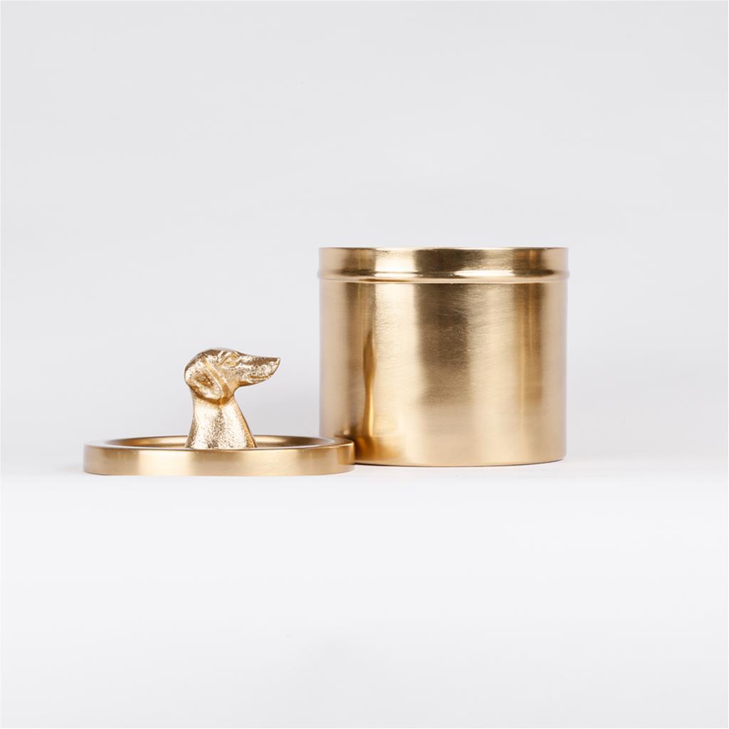 Metal Box with Lid Handle